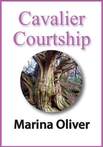 Cover of Cavalier Courtship ebook