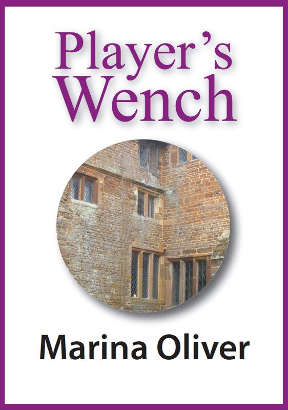 Cover of Player's Wench ebook