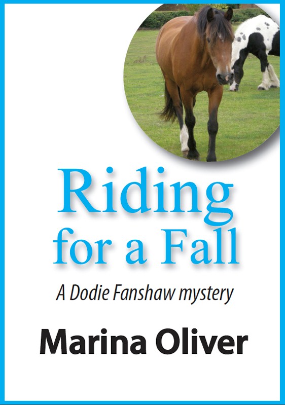 Cover of Riding for a Fall ebook